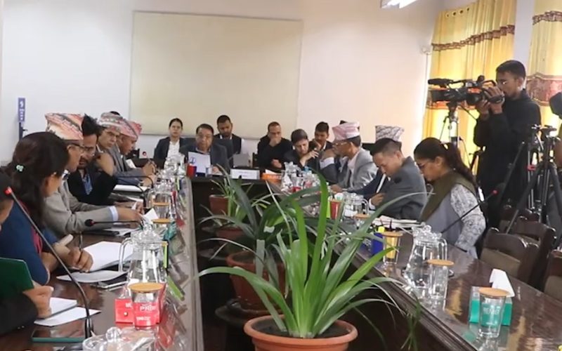 समिती बैठकमा सांसदहरुले प्रश्नको चाङ भनछनःयो सरखारले केही काम गरेको छैन जे मन लाग्छ तेही गर्नु पाइदैन |