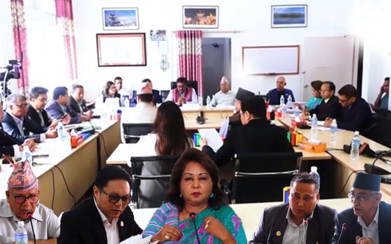 समिती बैठकमा सांसदहरुको खरो प्रश्न आरजुलाइ तनाब पारे सांसदहरुको |