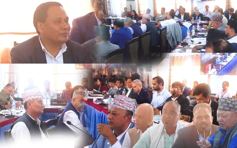 सांसदहरुले प्रश्न चाङ थुपारे बैठकमा कुलमान फाएर भएर फर्काए जवाफ |