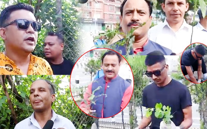 बालेनको पुत्ला र डोजर आक्रमण सुनिल केसी देखी किरन चेम्जोङ सम्म बिरुवा रोप्दै |