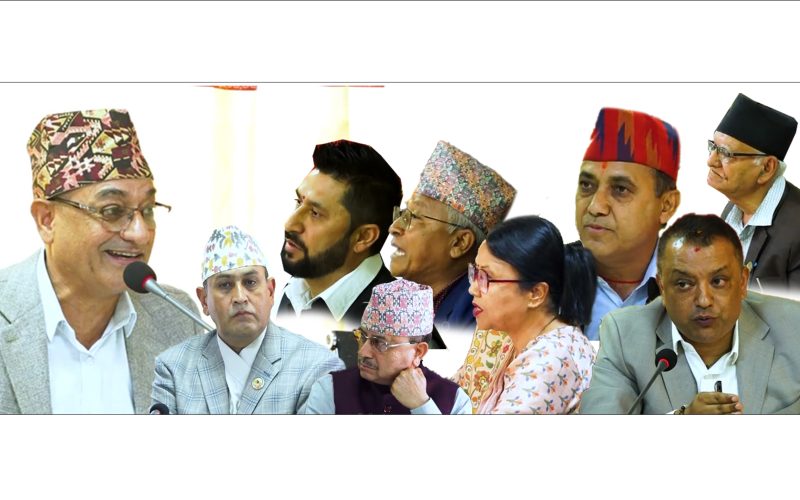 सरकारलाई घुडा टेकायर छाडेऔ एउटै मन्चमा बसेर बजाए ताली रबि र गगन |