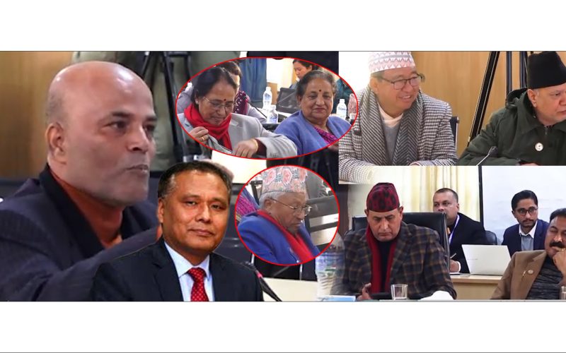 अमरेश कुमारको समितीमा ठाडो चुनौती कुलमानको कुर्सि हल्लाउन सकेन भन्दै नया घुस कान्डको खुलासा |