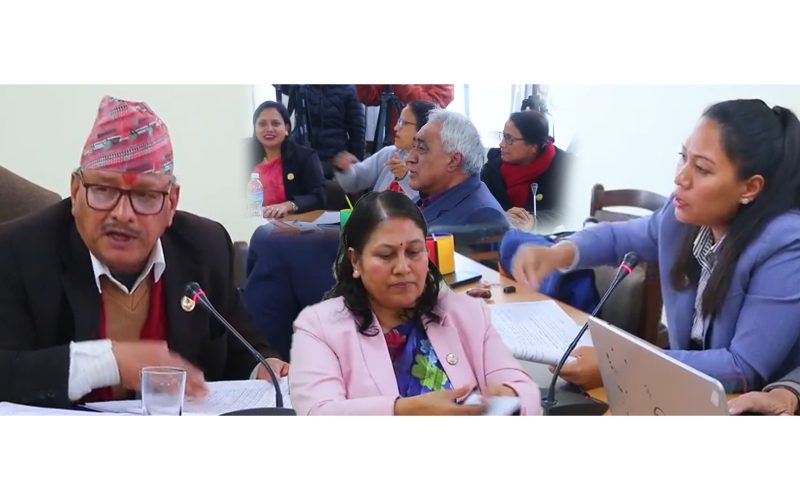 शिक्षा समिती बैठकमा मचाए हेगामा सभापती र मन्त्रीलाई अगाडी राखेर सुमना र चन्द्र भन्डारीले |